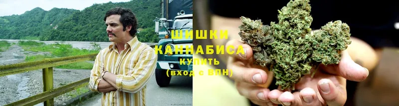 Каннабис SATIVA & INDICA  где купить наркотик  Богучар 